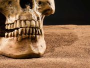 Cum își curățau oamenii dinții înainte de a fi inventată pasta de dinți? Cum își curățau oamenii dinții