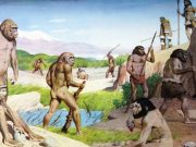 Avea Homo Erectus un limbaj, construia bărci și traversa oceanele? Ce dezvăluie noile studii Homo Erectus