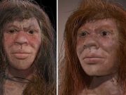 Cazul uimitor al singurului individ cunoscut ai cărui părinți erau din două specii diferite de om denny părinți erau din două specii diferite