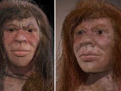 Cazul uimitor al singurului individ cunoscut ai cărui părinți erau din două specii diferite de om denny părinți erau din două specii diferite