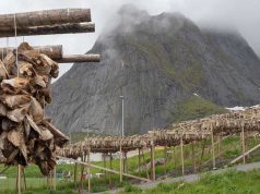 Cum erau conservate alimentele în trecut, când nu exista electricitate Cum erau conservate alimentele