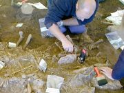 În urmă cu 5.000 de ani, ciuma a doborât primii fermieri europeni, arată noile descoperiri ciuma a doborât primii fermieri europeni