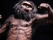 Care a fost prima specie umană și ce anume o face umană? prima specie umană