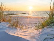 Test de cultură generală: De unde vine nisipul de pe plaje? De unde vine nisipul de pe plaje