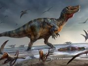 Test de cultură generală: De ce mâncau chinezii fosile de dinozaur? mâncau chinezii fosile de dinozaur