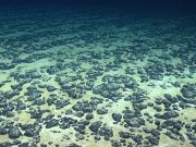 „Oxigenul întunecat” misterios, descoperit pe fundul oceanului, dezvăluie un lucru surprinzător oxigenul întunecat