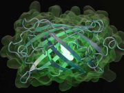 Inteligenţa artificială a creat proteine „care nu se găsesc în natură” Inteligenţa artificială a creat proteine