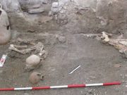 Noile schelete de la Pompei dezvăluie un alt dezastru pe lângă oroarea provocată de erupția Vezuviului schelete de la Pompei