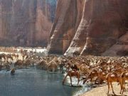 Guelta d’Archei: o oază suprarealistă în inima deșertului Sahara Guelta d'Archei oază sahara