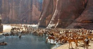 Guelta d'Archei oază sahara