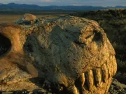 Cea mai mare extincție în masă a planetei noastre a dat semne de avertizare. Şi se întâmplă din nou extincție în masă