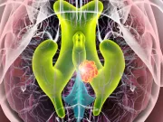 Un fluid vital îţi protejează cel mai important organ. Ce se întâmplă dacă acesta cedează? fluid vital