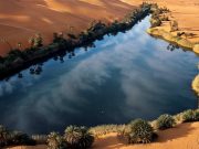 Ciudata formă de viață care crește în Sahara: provine de pe fundul mării și interacționează cu atmosfera formă de viață care crește în Sahara