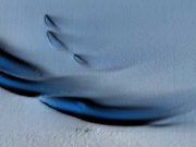 Forme nemaivăzute până acum, lungi de până la 400 de metri, descoperite sub gheața Antarcticei forme nemaivăzute sub gheaţa antarcticei