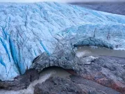 Fosilele din inima înghețată a Groenlandei dezvăluie că aceasta era o tundră verde acoperită de flori în urmă cu mai puțin de 1 milion de ani Fosilele din inima înghețată a Groenlandei