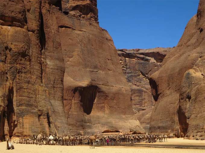 Guelta d'Archei oază sahara