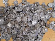 Tezaur medieval masiv de monede în valoare de „aproximativ 150 de oi” descoperit în regiunea Pădurea Neagră Tezaur medieval masiv de monede