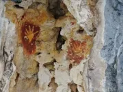 Cum au ajuns oamenii să trăiască în insulele din Pacific în urmă cu cel puțin 55.000 de ani insulele din Pacific cum au ajuns oamenii papua de vest