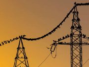 De ce nu păţesc nimic păsările de pe cablurile de înaltă tensiune? De ce nu se electrocutează? păsările de pe cablurile de înaltă tensiune