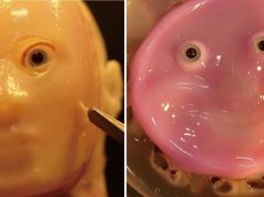 „Pielea vie” care se vindecă singură poate face roboții mai umani. Şi arată la fel de înfricoșător cum te-ai aștepta pielea vie robotii mai umani