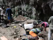 O plantă străveche dezvăluie călătoria fascinată a omenirii spre Australia, în urmă cu 80.000 de ani plantă străveche călătoria fascinată a omenirii spre Australia