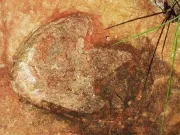 Urme de dinozauri identice