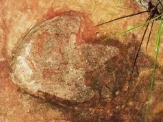 Urme de dinozauri identice, descoperite pe maluri opuse ale Oceanului Atlantic Urme de dinozauri identice