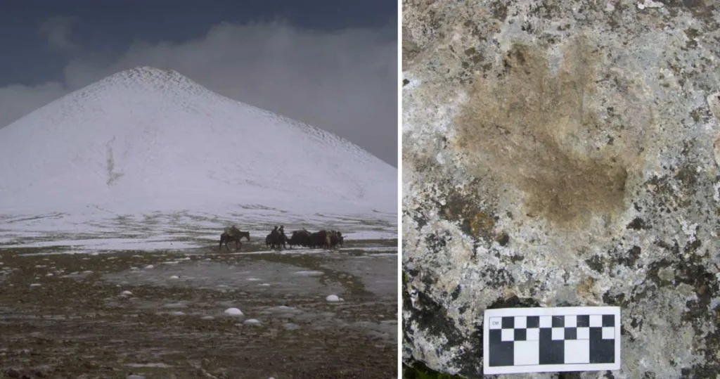 Urme de mâini vechi himalaya