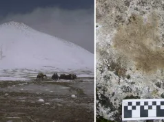 Urme de mâini vechi de 12.600 de ani arată că oamenii au trăit în Himalaya mult mai devreme decât se credea Urme de mâini vechi himalaya