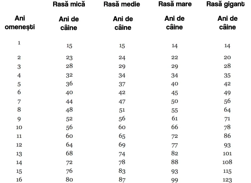 Cât înseamnă un an de câine