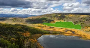 Cel mai mare organism de pe Pământ pando descoperiri.ro