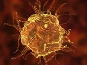 Cercetătorii au descoperit o nouă celulă, prezisă pentru prima oară în urmă cu 100 de ani în urmă cu 100 de ani o nouă celulă descoperiri.ro