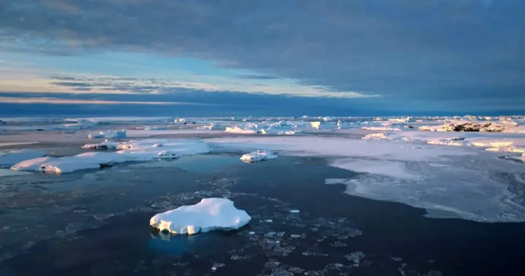 degetele mortii antarctica