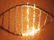 Oamenii de știință au reconstruit cele mai vechi genomuri umane găsite vreodată în Africa de Sud cele mai vechi genomuri umane