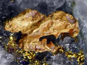 Cum se formează aurul în urma cutremurelor: seismele pot contribui la formarea pepitelor de aur în cuarţ Cum se formează aurul în urma cutremurelor