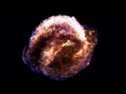 O supernovă din apropiere ar fi putut contribui la creșterea diversității vieții pe Pământ supernovă din apropiere descoperiri.ro