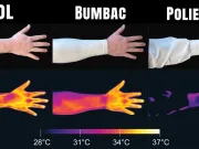 Cercetătorii au descoperit că țânțarii folosesc infraroșu pentru a depista oamenii țânțarii folosesc infraroșu