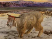 Ţap ispăşitor: ce înseamnă şi care este originea expresiei ţap ispăşitor