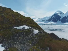 Peninsula Antarctică înverzește