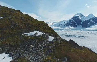 Peninsula Antarctică înverzește