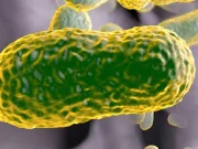 Un antibiotic uitat, creat în urmă cu 80 de ani, ar putea fi un ucigaș de superbacterii streptotricina