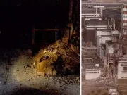 De ce cel mai periculos obiect din lume este atât de mortal încât te poate ucide după ce stai 5 minute în aceeași cameră cu el cel mai periculos obiect din lume picior de elefant