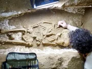 Renovarea subsolului unei case de lângă Paris a scos la iveală un cimitir vechi, cu morminte din epoca romană Renovarea subsolului unei case