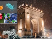 Un lucru ciudat se întâmplă cu microbii din oraşe microbii din oraşe