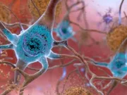 Această moleculă misterioasă este crucială pentru sănătatea creierului și este posibil să știm în sfârșit de ce moleculă misterioasă