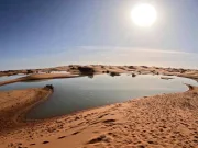 „Excepțional”: Precipitațiile intense au transformat deșertul Sahara transformat deșertul Sahara