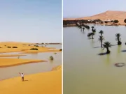 Deșertul Sahara este inundat de apă în urma unui eveniment care are loc o dată în 50 de ani Deșertul Sahara este inundat