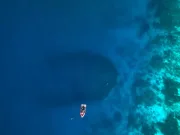 Exploratorii credeau că au găsit o epavă, dar această umbră uriașă este vie: este atât de mare, încât poate fi văzută din spațiu umbră uriașă coral