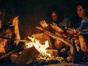 Creierul uman a crescut constant pe parcursul a milioane de ani, în loc să înregistreze salturi bruște Creierul uman