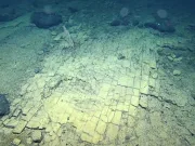 Oamenii de știință au găsit un „drum de cărămizi galbene” pe fundul Oceanului Pacific drum de cărămizi galbene